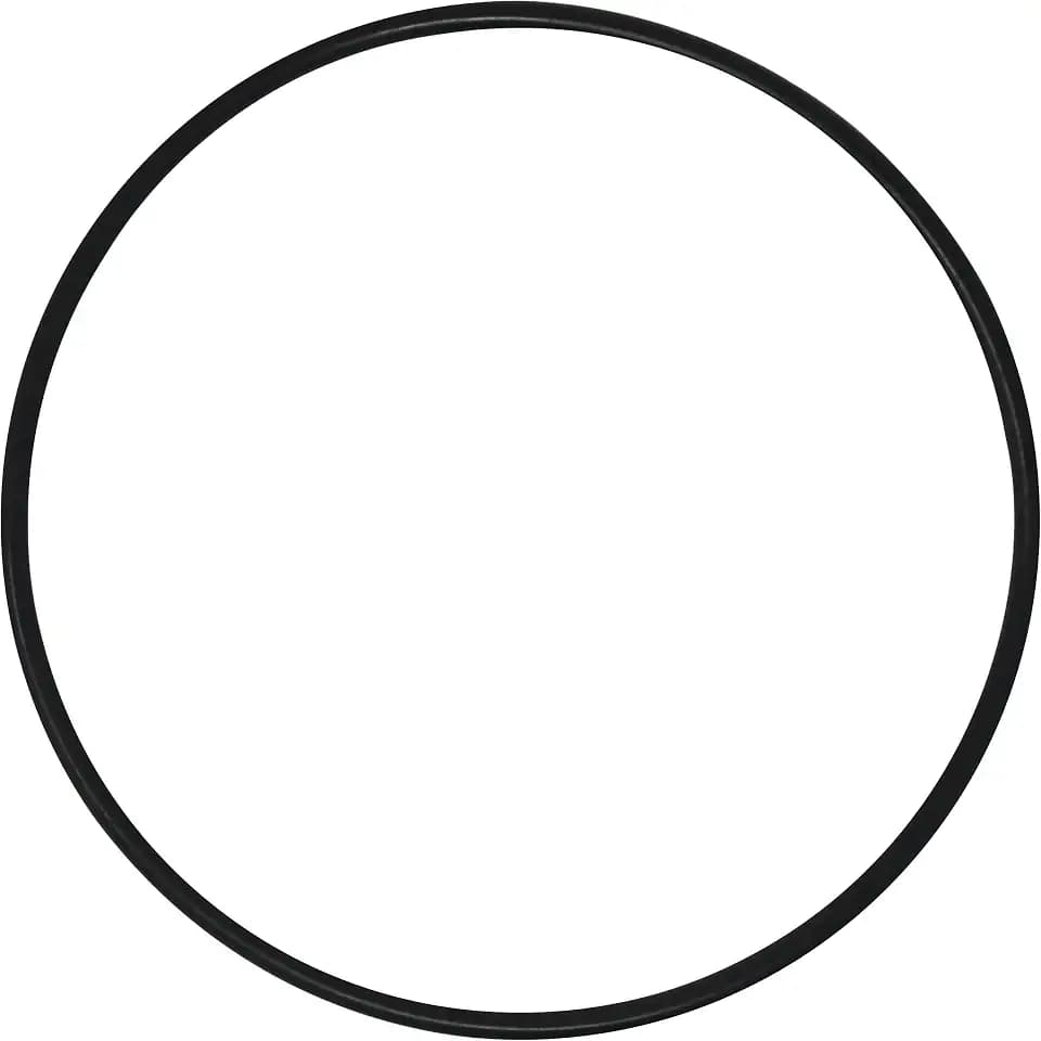 AppliaFit 25” Cord O-Ring Compatible with Pentair 24850-0009 for Select Pentair Sta-Rite System 3 Filters (1-Pack)