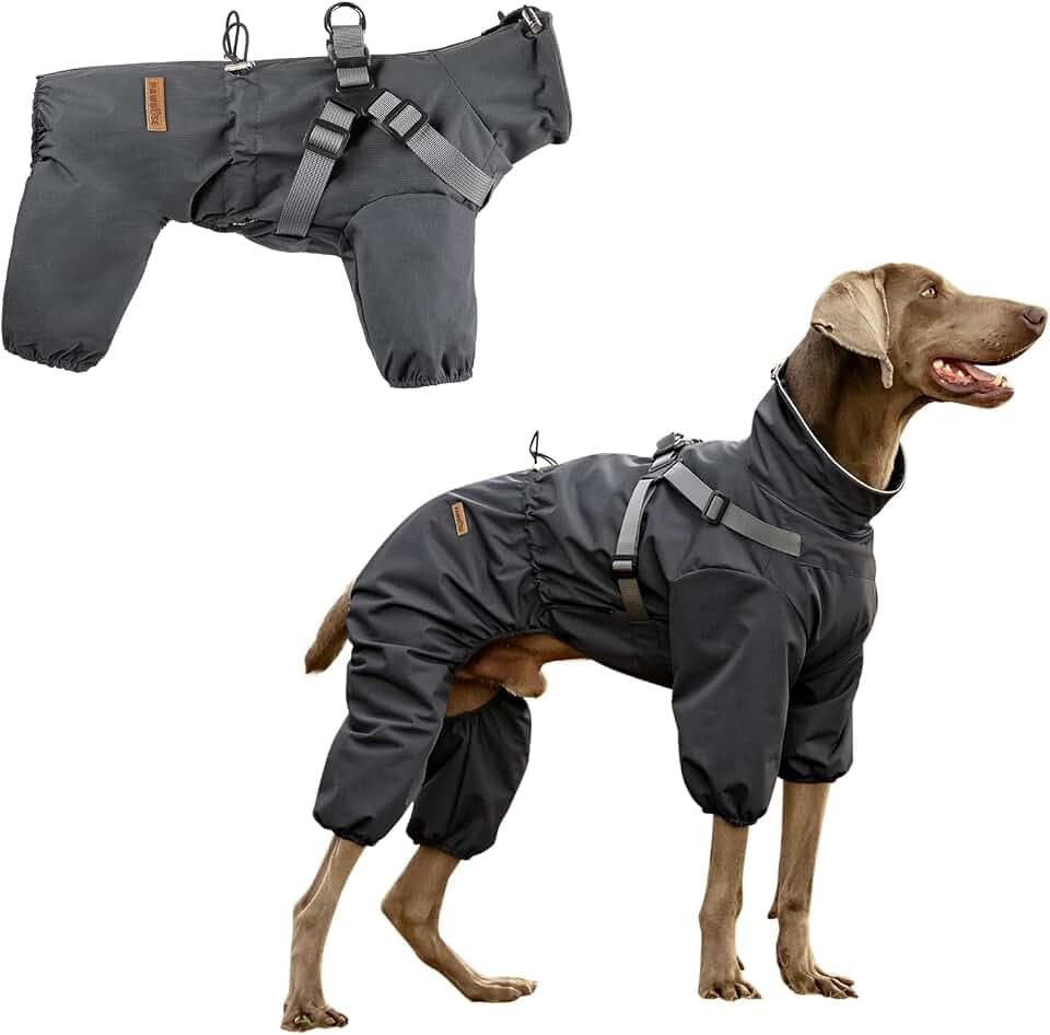 PAWBOSE Regenmantel Hund mit Geschirr Wasserdicht für Kleine, Mittlere und Große Hunde, Reflektierender Regenfester Hunderegenjacke für Sommer, Schöne Hübsche Hundekleidung, 4 Beine, Grau, XL