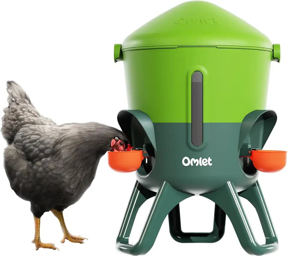 Omlet Insulated Chicken Waterer, 1.5 Gallon | Stay-Clean Automatic Water Dispenser for Chickens | BPA-Free | Anti-Roost Domed Lid | Includes 3 Cups & Nipples | Eglu Green