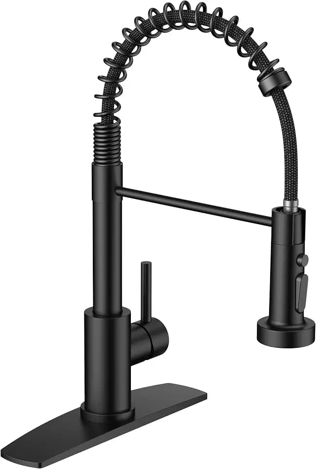 FORIOUS Black Kitchen Faucet, with 3 Modes Sprayer, Single Handle