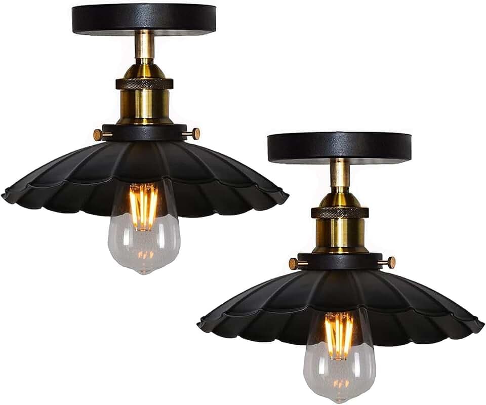 HTRUIYATY Industrial Deckenlampe E27 2 Stücke Vintage Metall Deckenleuchte für Flur Studie Zimmer Büro Schlafzimmer Küche