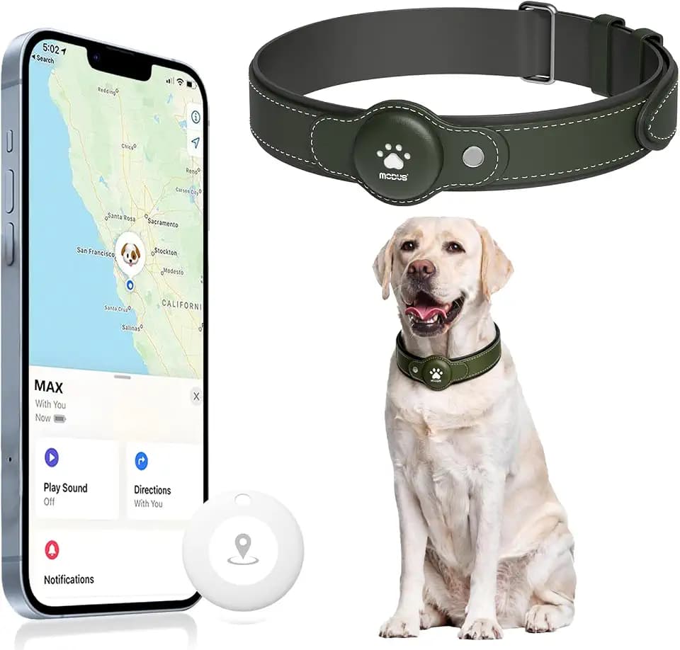 GPS Tracker for Dogs, 2 in 1 Smart Pet Collar (Only iOS), No Monthly Fee Waterproof Dog Collar with Real-time Tracking, Anti-Lost, 365-Day Long Battery GPS Tracker for All Sized Dogs(Locator Included)