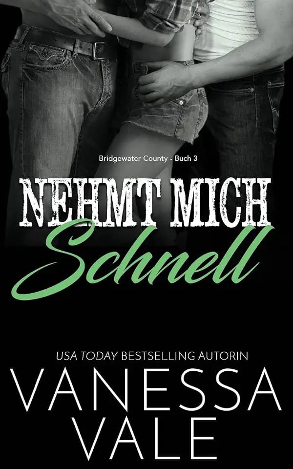Nehmt Mich Schnell (Bridgewater County, Band 3)