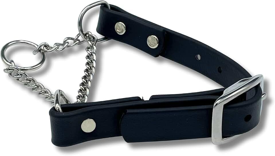 Martingale Halsband für Hunde, Biothane, Edelstahl-Hardware, kein Ziehen, professionelle Qualität, Größe M, Schwarz