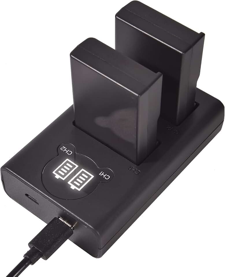 DSTE EN-EL9A EN-EL9 Ersatzakku (2er Pack) und Smart LED Dual USB-Ladegerät Kompatibel mit Nikon D40 D40x D60 D3000 D5000