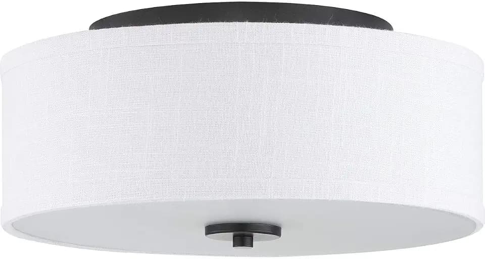 Progress Lighting Inspire 13" 2-Light Flush Mount Light, Graphite