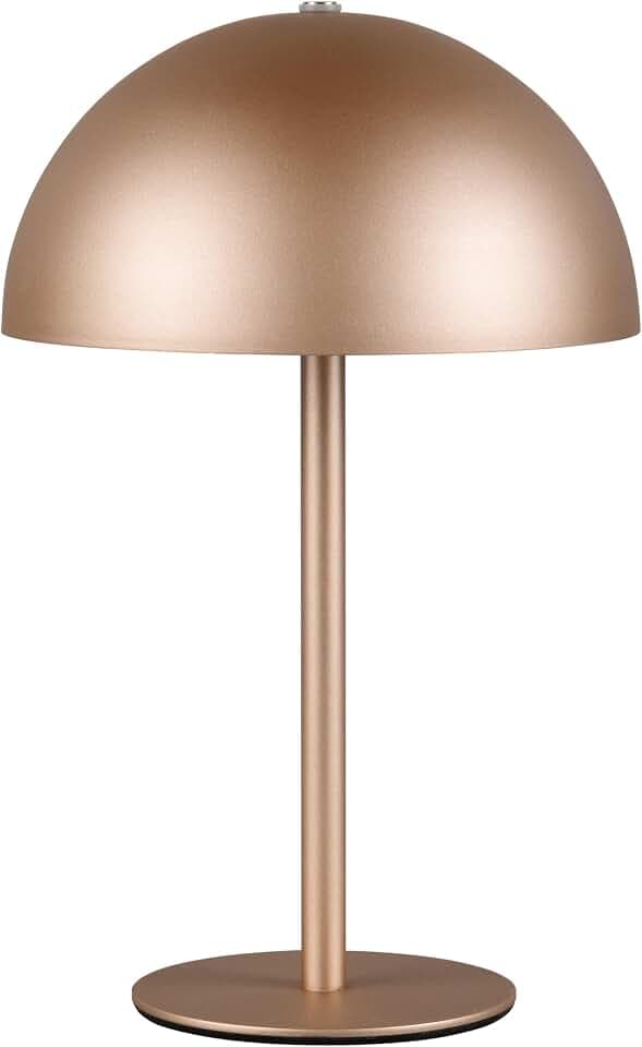 Reality Leuchten LED Akku Tischleuchte Munoz R54891165, Metall Coffee, inkl. 1.3 Watt LED, 4-fach Touch