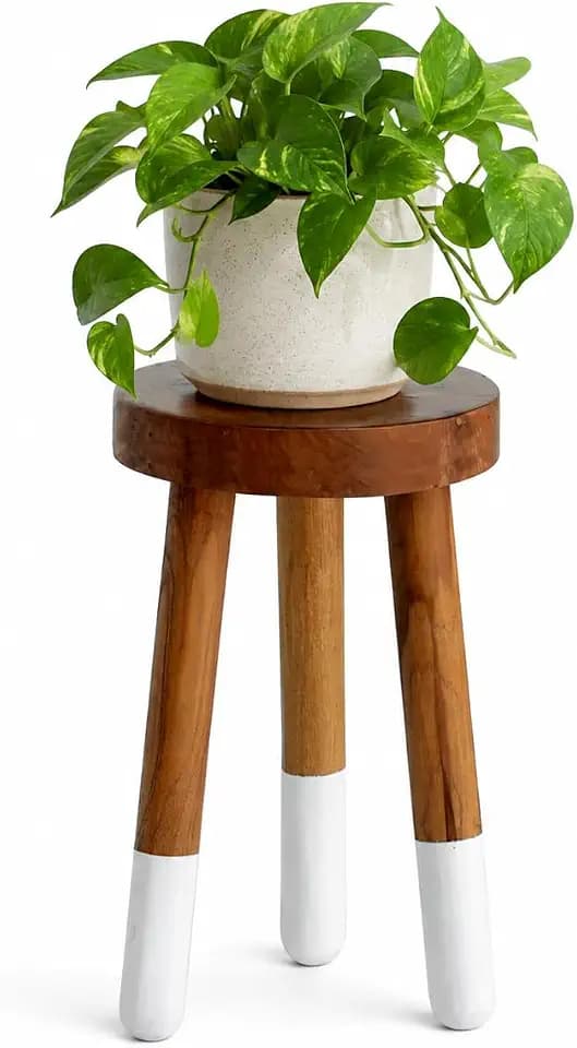 Teak 11.8" Round Dip Dyed Teak Stool | Wood Accent Side Table | Wood Plant Stand (20" Tall White)