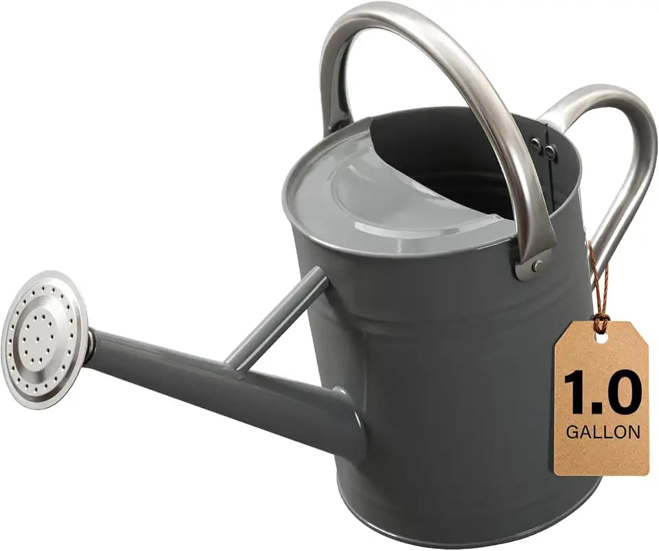 1 Gallon Metal Watering Can for Outdoor&Indoor Plants