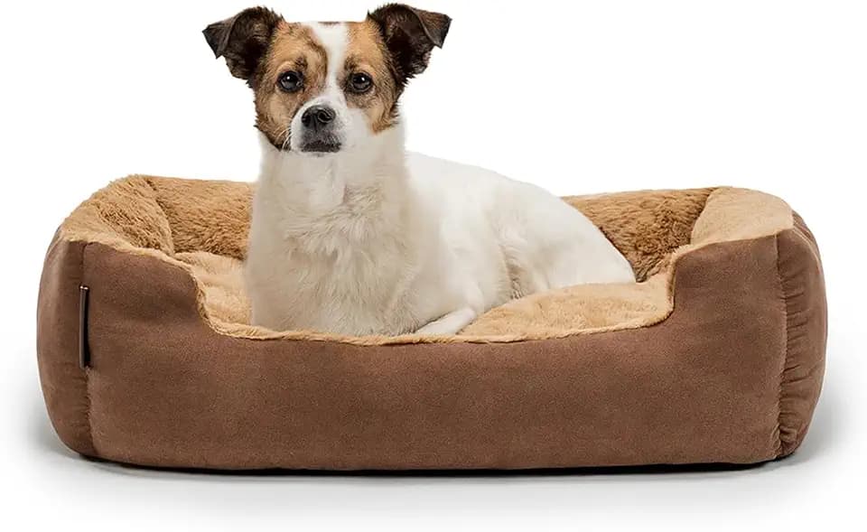 lionto Hundebett mit Wendekissen, Hundekörbchen, 60 x 48 cm, Braun/Beige | Robustes Haustierbett mit herausnehmbarem Wendekissen, rutschfester Unterseite und weicher Liegefläche für Hunde & Katzen
