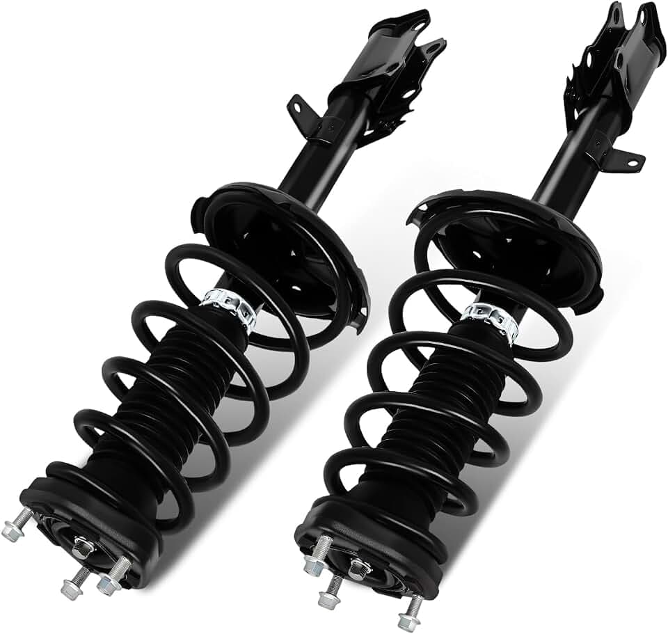 SCITOO Rear Complete Struts Assembly Fits 2008-2013 for Toyota Highlander