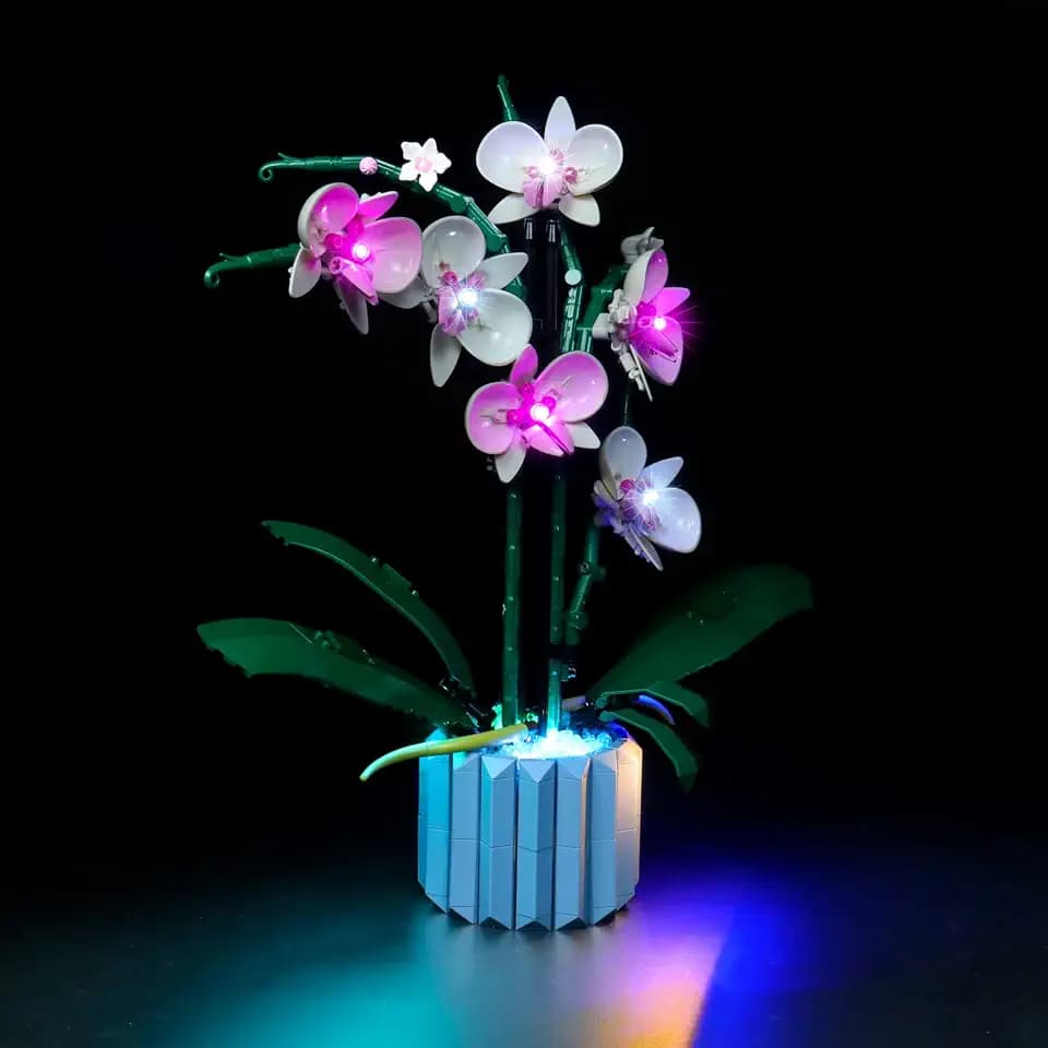 LED Light Kit for Lego Orchid 10311 Plant Decor Building Set; Decoration Lights Build a Succulents Display Piece for The Home or Office (Lights Only, No Lego Models)