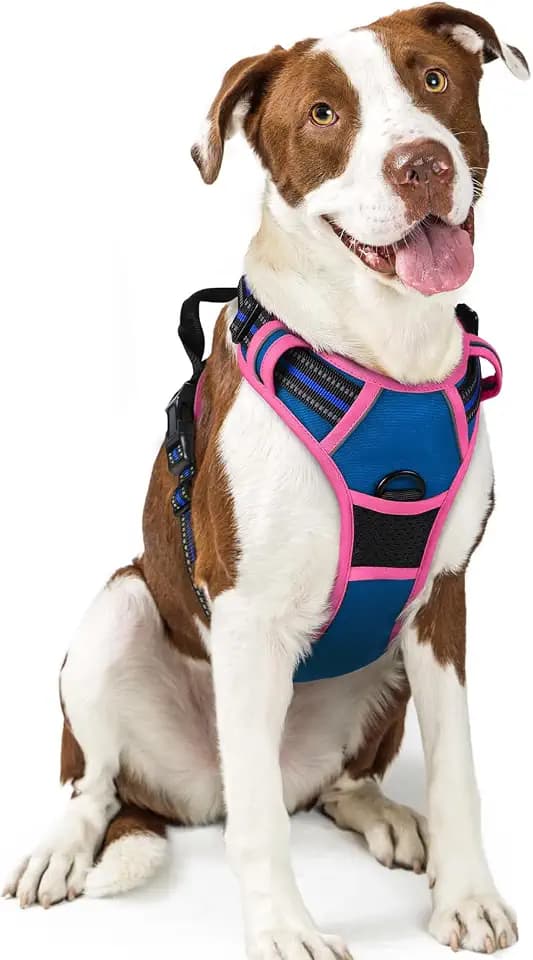 rabbitgoo Dog Harness, No Pull for Large Dogs with 2 Leash Clips, Pet Vest