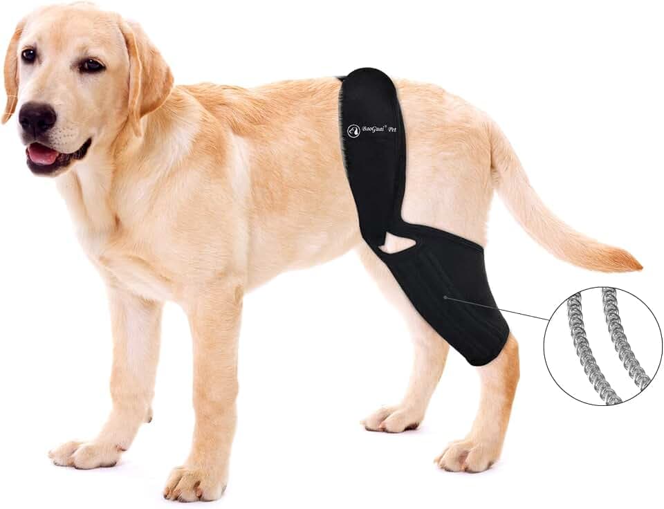 Knee Brace for 8G3DP