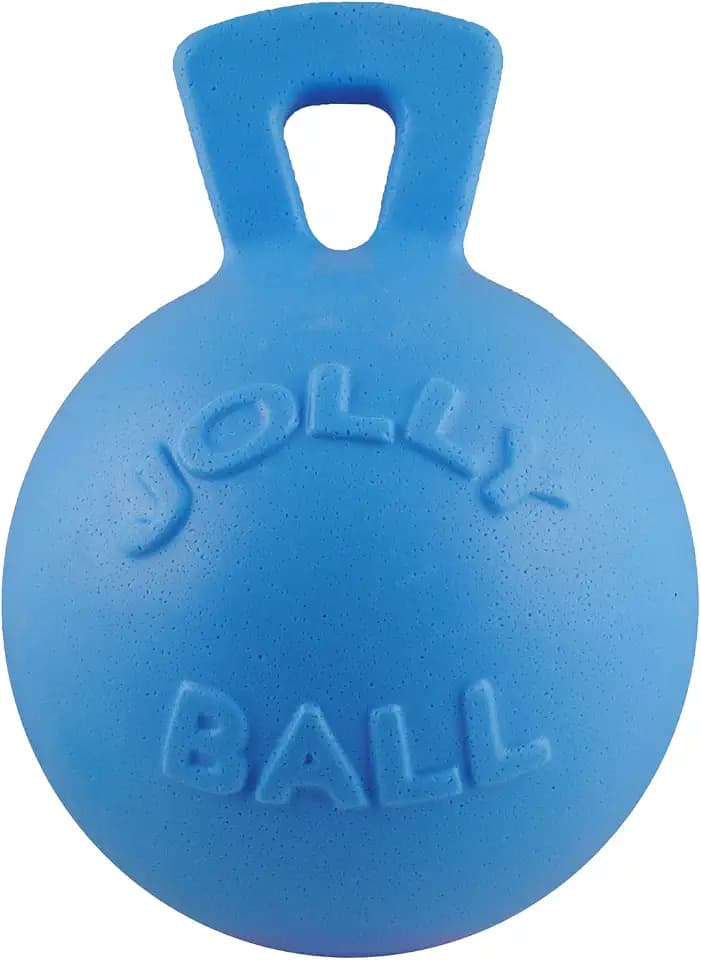 Jolly Pets Tug-n-Toss Heavy Duty Dog Toy Ball with Handle, 8 Inches/Large, Blueberry