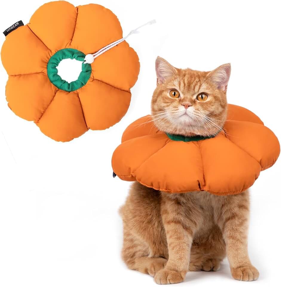 Halskrause Katze, Einstellbarer Halskrause Halsband, Weich Blumen Katze Wiederherstellung Halsband Kragen Cone ，für Katzen Kleiner Hunde Nach Operation und Verletzungen (Orange, M)