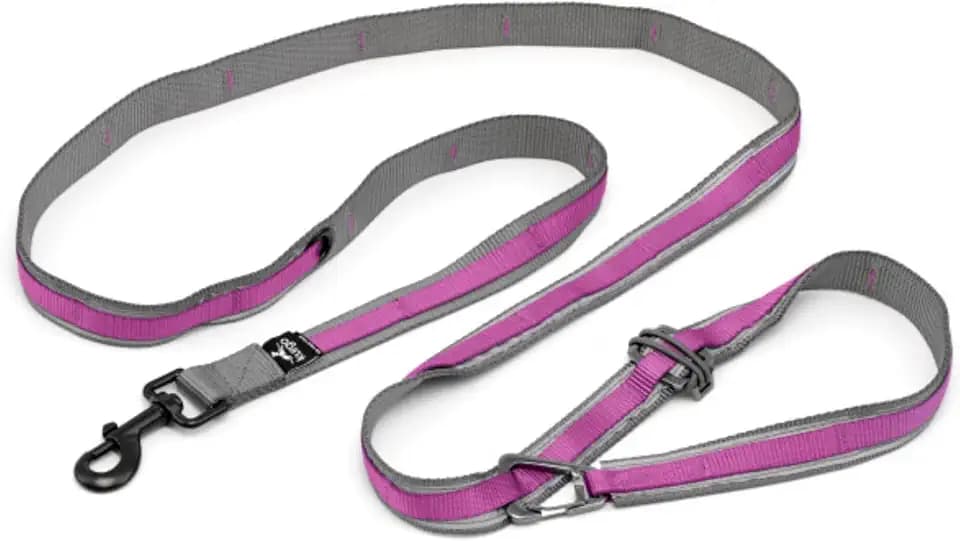 Kurgo Quantum 6 in 1 Dog Leash, Purple