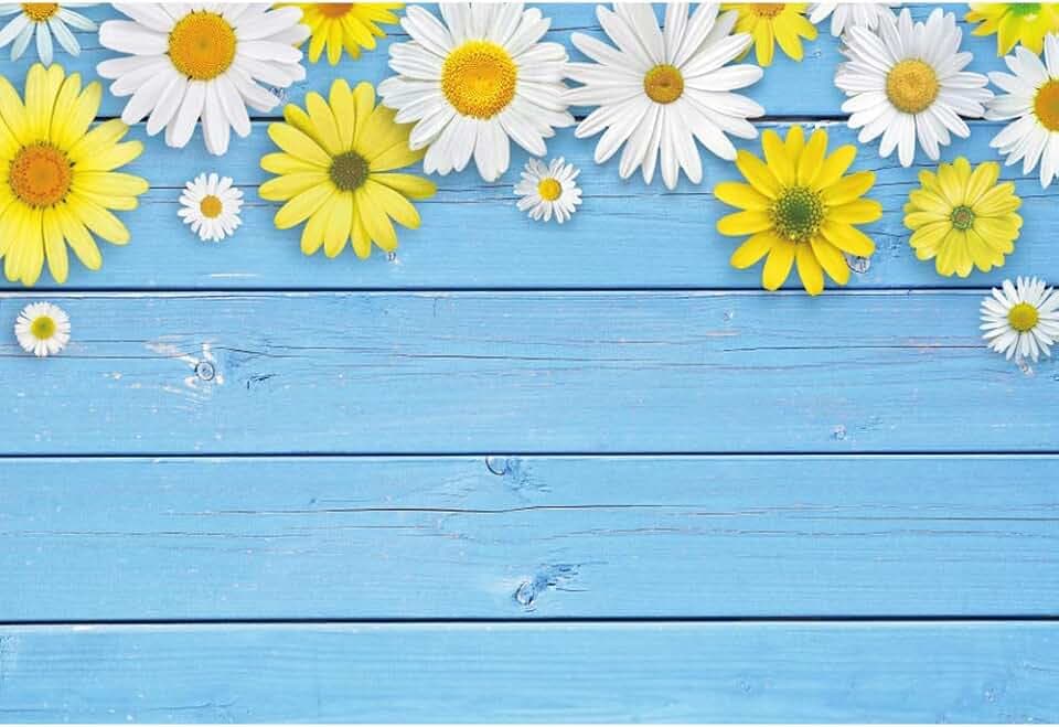 Haoyiyi 5x3ft Baby Blue Wooden Wall Backdrop White and Yellow Daisy Floral Flowers Photography Background Baby Shower Mom Valentines Party Interior Cartoon Greeting Card Decoration Photo Studio Props