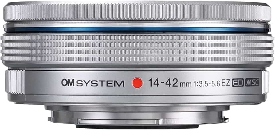 OM System DS-2700 Digitales Diktiergerät - Voice Recorder mit ODMS R8