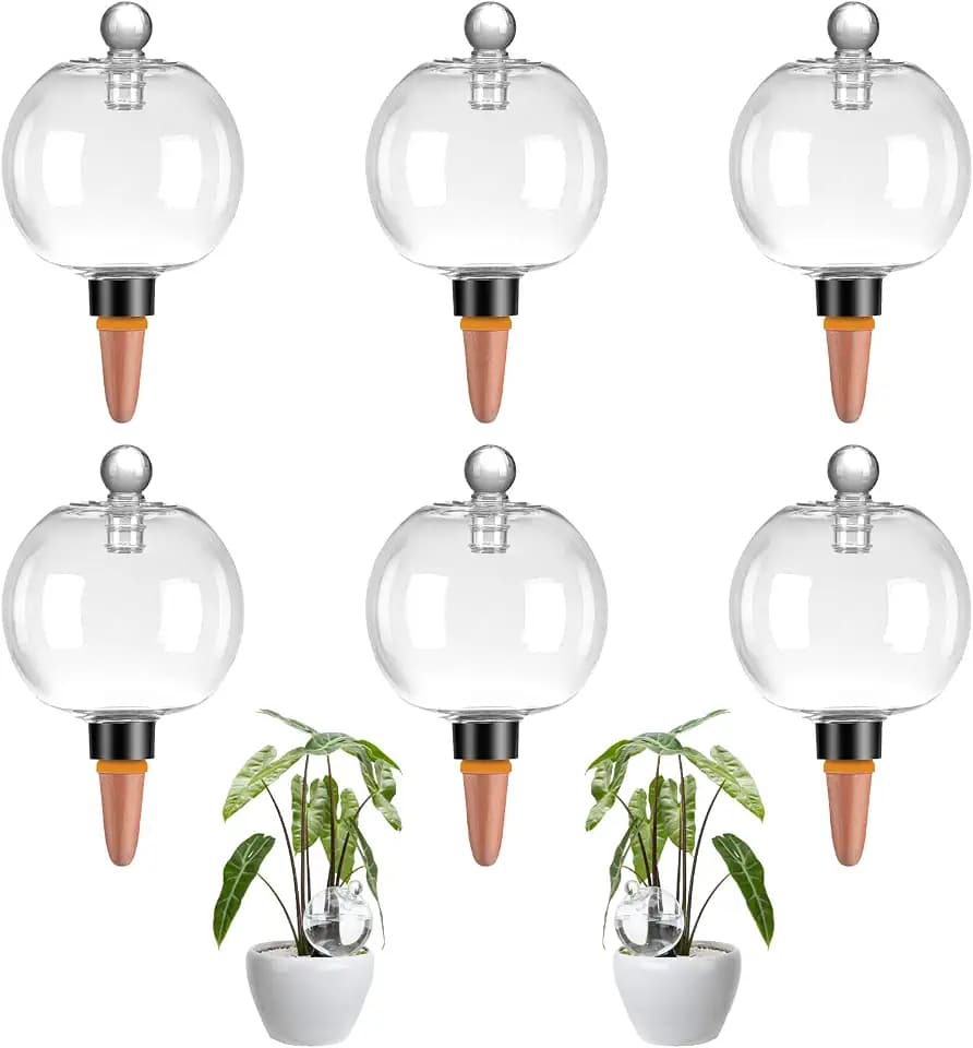 6 Pack 19 oz Large Plant Self Watering Globes, Up to 2 Weeks Plant Watering