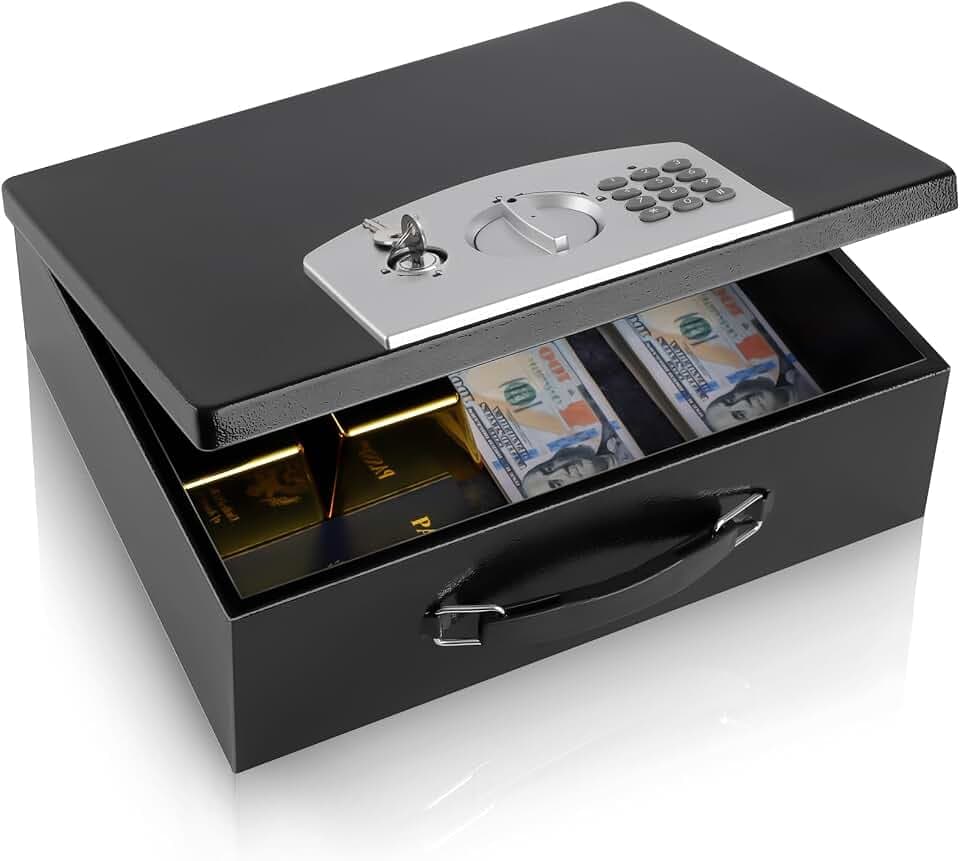 Dalmbox Fire Resistant Document Lock Box Safe Digital Keypad,Black