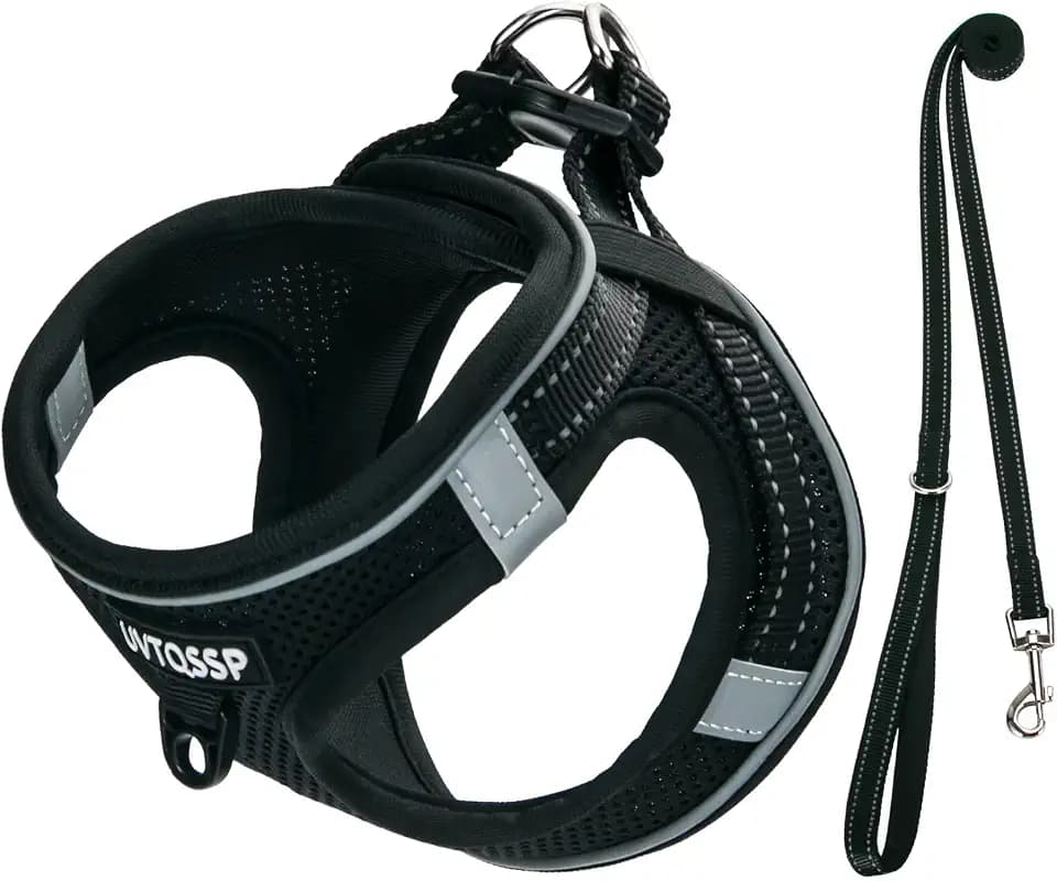Hundegeschirr Kleine Hunde mit Leine Gepolstert, Welpengeschirr, Dog Harness Hunde Geschirr Klein (Schwarz, XXS)