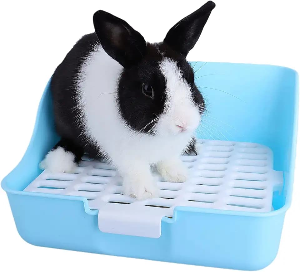 quadratischer Tiertöpfchen für Kleintiere wie Hasen, Meerschweinchen und Frettchen