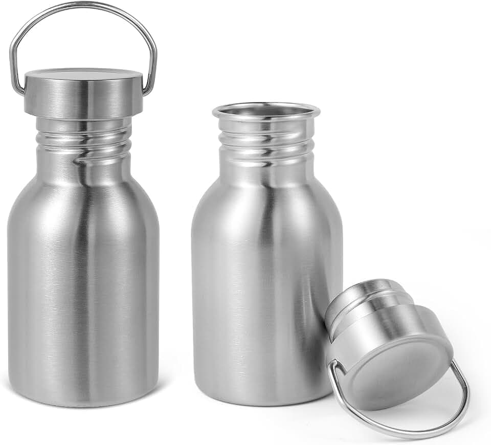 Volhoply 380ml nicht isolierte einwandige Wasserflasche 2 Packung, Edelstahl wiederverwendbare Wasserflaschen mit Griff, BPA-freie und plastikfreie Metallflaschen für Camping, Wanderer, Radfahrer