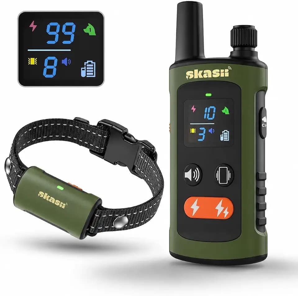 Training Collar for Dogs with Remote Control, Green