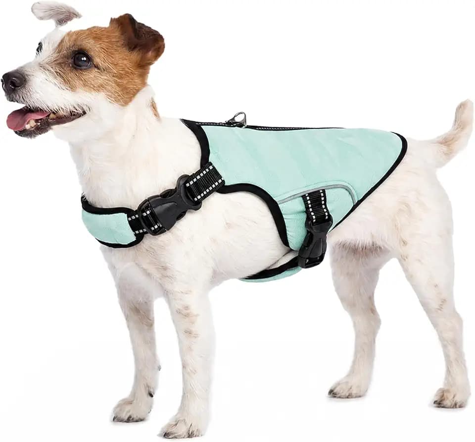 Kühlweste für Hunde, Hundekühlungsmantel Sommer Sicherheitsweste Atmungsaktive & Reflektierende für Klein Mittlere Große Hunde Kühljacke Aktivitäten Draußen Wandern Training(Grün, S)