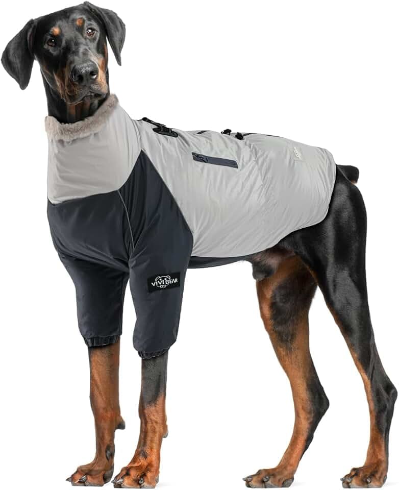 Winter warmer Hundemantel für mittlere große Hund wasserdicht winddicht Hundejacken, kaltes Wetter gemütlich 2 Bein Hundesportweste Skianzug mit Geschirr Schnalle & Tasche für Wandern Wandern Reisen