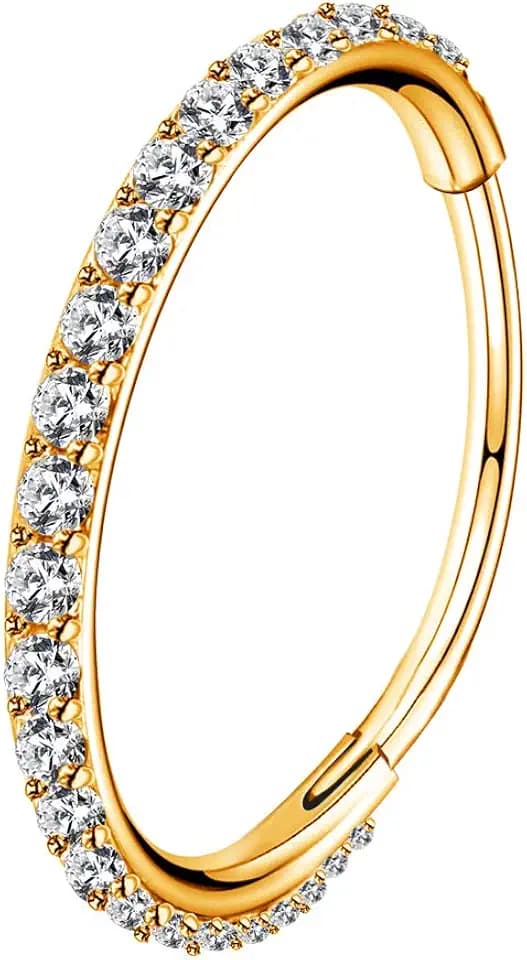 OUFER Gold Hinged Segment Earring Hoop 16G Stainless Steel with Cartilage Earrings Clear CZ Paved Tragus Helix Earrings Cartilage Earring Septum Nose Ring Hoop