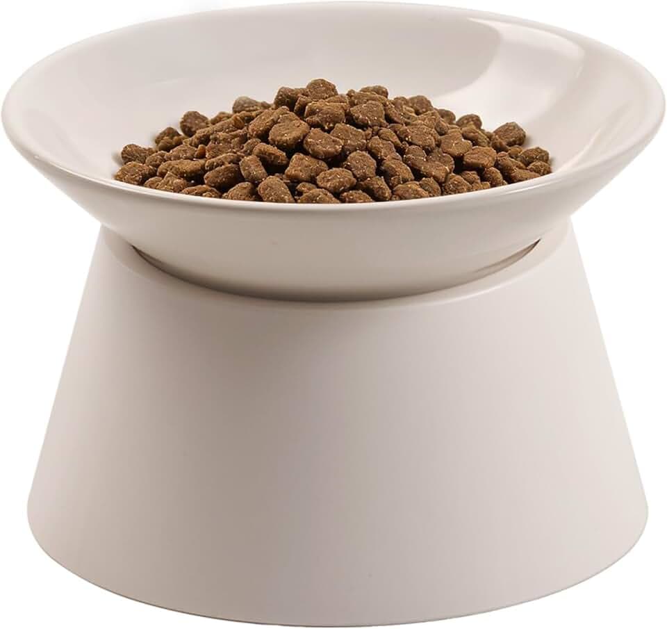 MS!MAKE SURE Cat Food Bowls Elevated - Ceramic Cat Water Bowls Whisker Friendly with Stand Tilted Non Slip Flat Detachable Anti Vomiting for Indoor Cats White