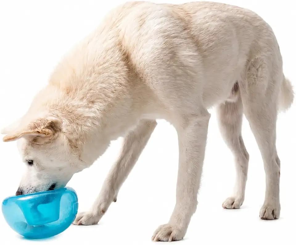 Outward Hound Snoop Interactive Treat Dispensing Dog Toy, Blue, 5"