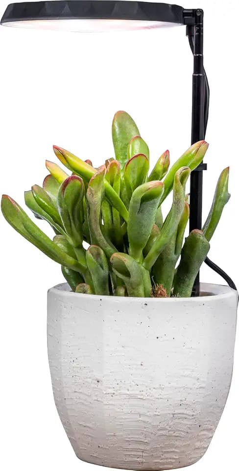 AeroGarden Stem Grow Light for Indoor Plants, Black