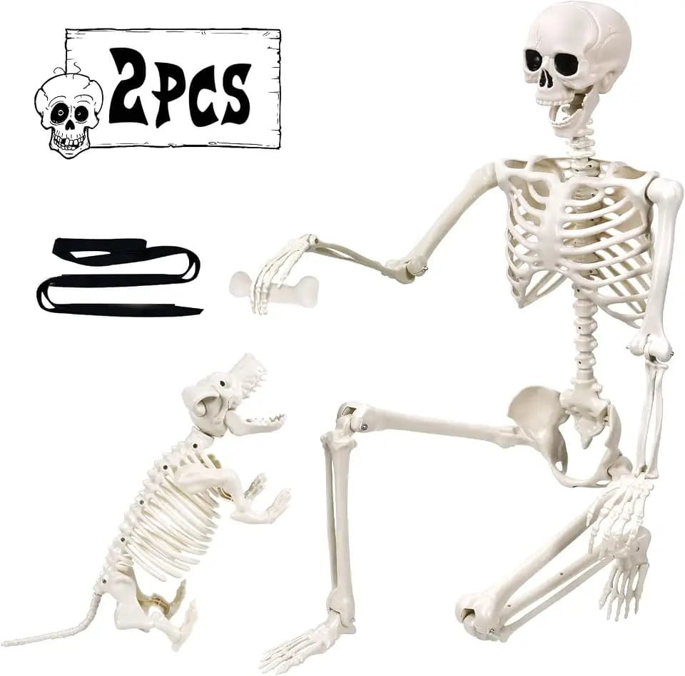 165cm Halloween Bewegliches Skelett mit Hund, Ganzkörper Hunde Lebensgroßes Skelett Realistische Menschliche Skelette mit beweglichen Gelenken für Halloween Outdoor Party Dekoration