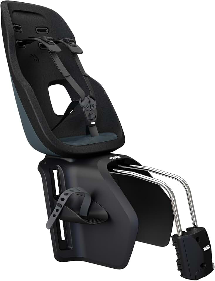 Thule Yepp Nexxt2 Frame Mount Child Bike Seat