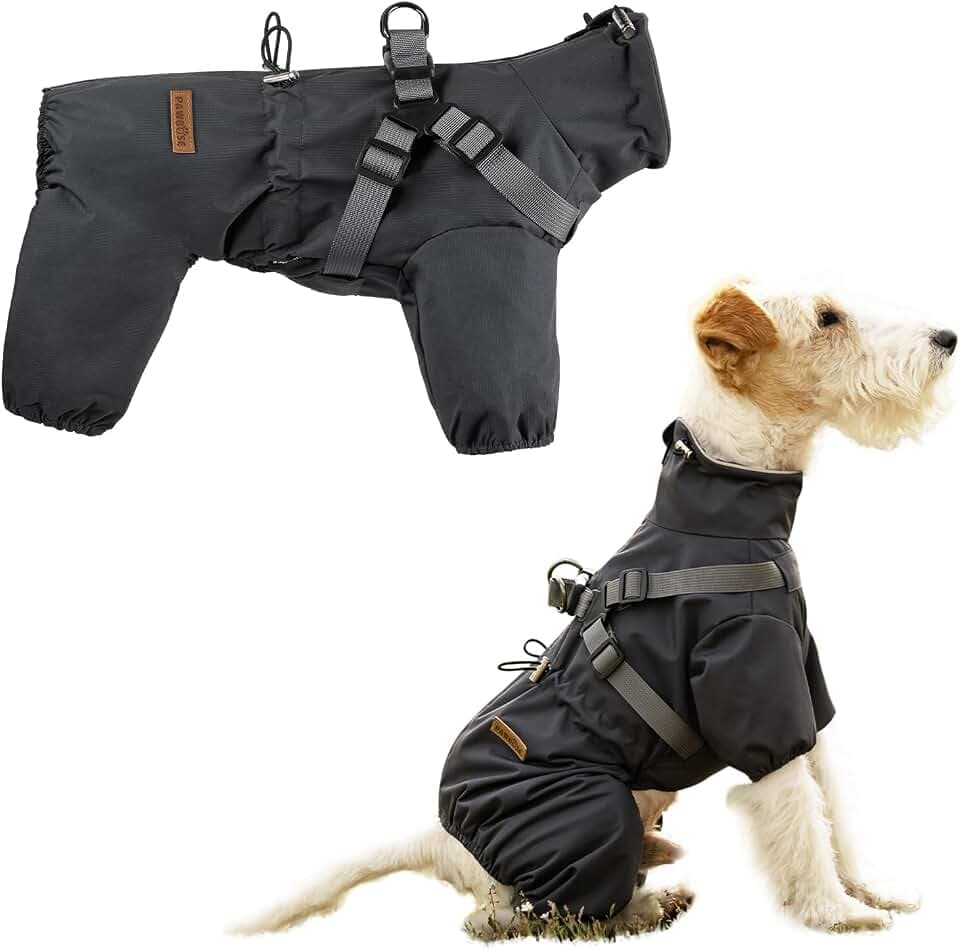 PAWBOSE Regenmantel Hund mit Geschirr Wasserdicht für Kleine, Mittlere und Große Hunde, Reflektierender Regenfester Hunderegenjacke für Sommer, Schöne Hübsche Hundekleidung, 4 Beine, Grau, L