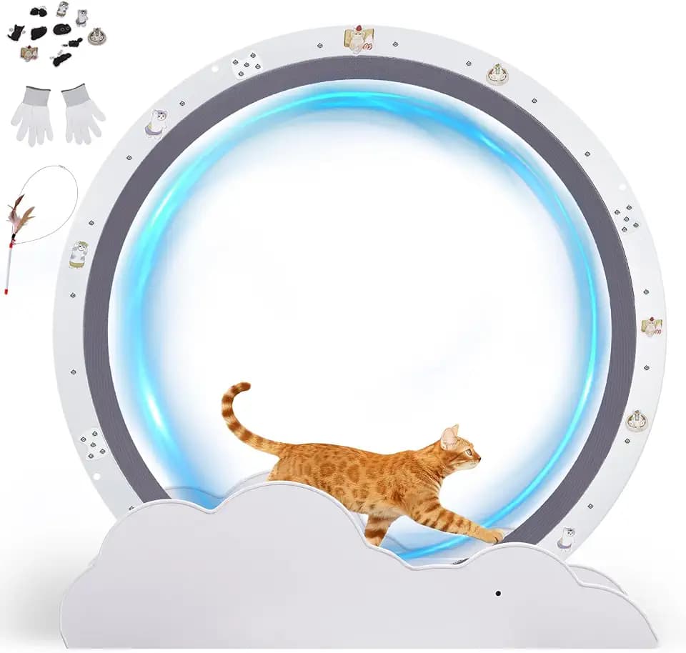 GTPLAYER Cat Wheels, 40" Diameter, Large Cat Exercise Wheel for Indoor Cats cat Treadmill Metal with Detachable Carpet & Teaser/Stickers, Ultra-Quiet Scroll Wheel with Latch, Stable,White Cloud