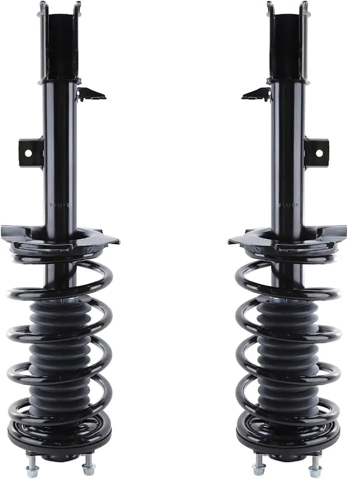 RAYTEN 171593/171594 Front Suspension Strut and Coil Spring Assembly