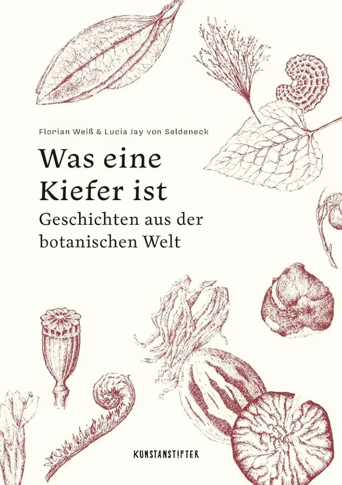 Was eine Kiefer ist: Geschichten aus der botanischen Welt