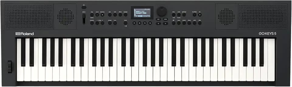 Roland GO:KEYS 5 Music Creation Keyboard, 61-Note, Graphite