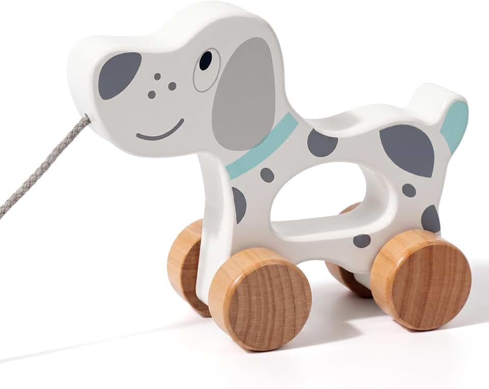 WOODENFUN Hölzernes Nachziehauto pädagogisches Babyspielzeug Geschenk für Kleinkinder ab 1 J