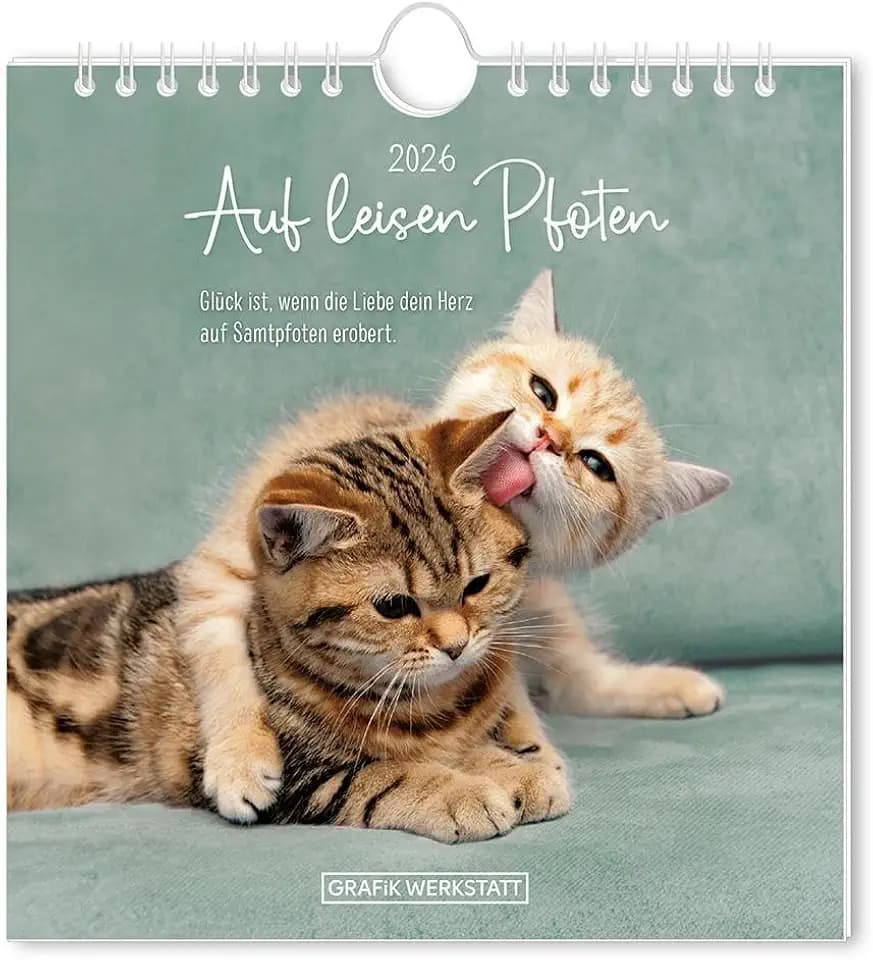 Postkartenkalender 2026 Auf leisen Pfoten: Postkartenkalender