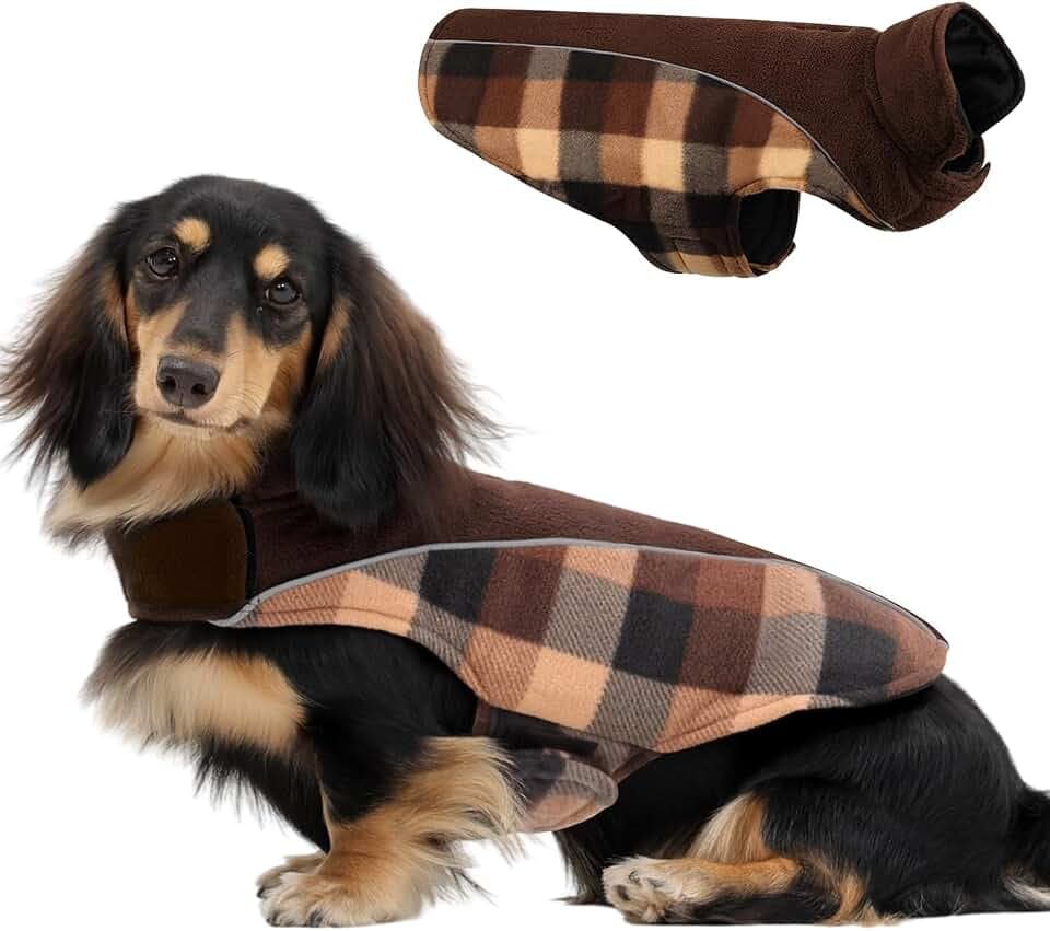CITÉTOILE Warme Hundemantel Winter mit Bauchschutz Braun L