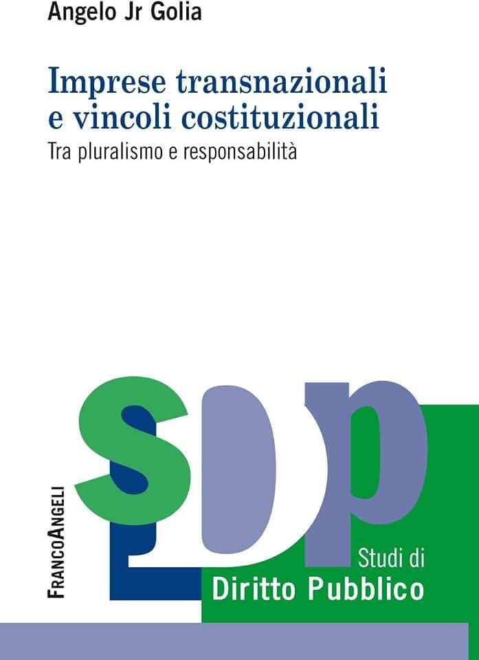 Imprese transnazionali e vincoli costituzionali. Tra pluralismo e responsabilità (Studi di diritto pubblico)