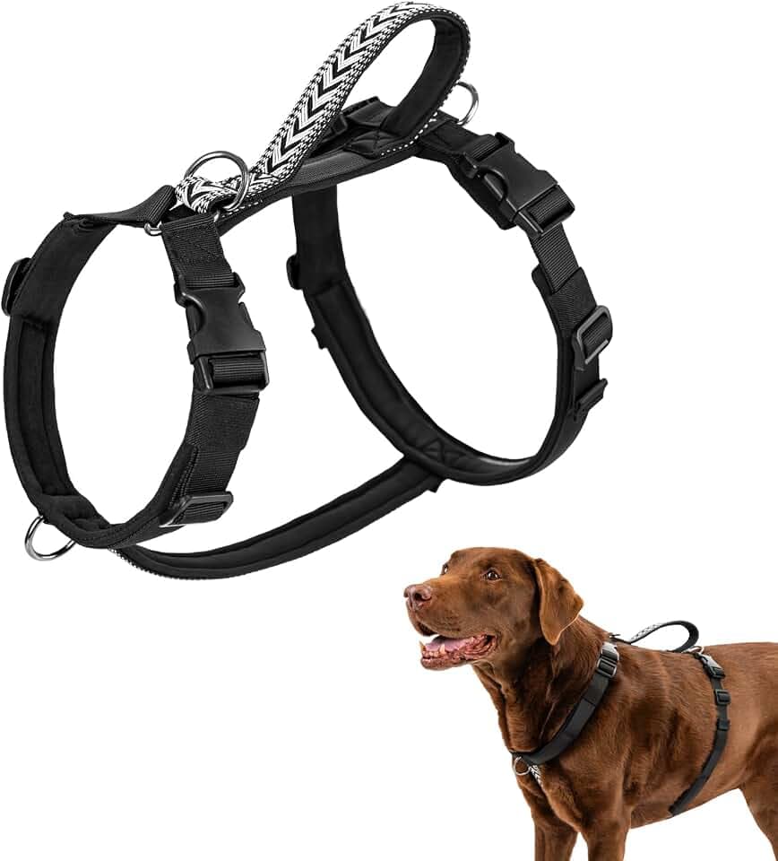 Arblina Hundegeschirr, Ausbruchsicheres Antizuggeschirr für Kleine, Mittlere und Große Hunde, Hundegeschirr Gepolstert mit Front Clip und Weichem Griff für Training, Spaziergänge und Laufen, Schwarz L
