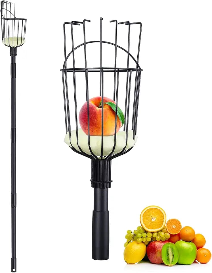 Pragmatist Fruit Picker Pole Tool with Basket, 7.3 FT (88 Inch) Adjustable Fruit Grabber Reacher Tool Long Handle Fruit Catcher for Apple Lemon Pear Citrus Mango Tree Gardening Supplies, Black