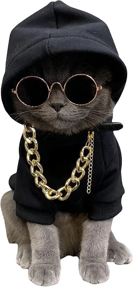 QWINEE 3Pcs Dog Hoodie Cat Apparel Dog Custume Set with Necklace and Sunglasses Pet Clothes for Puppy Small Medium Dogs Cats Multicolor M