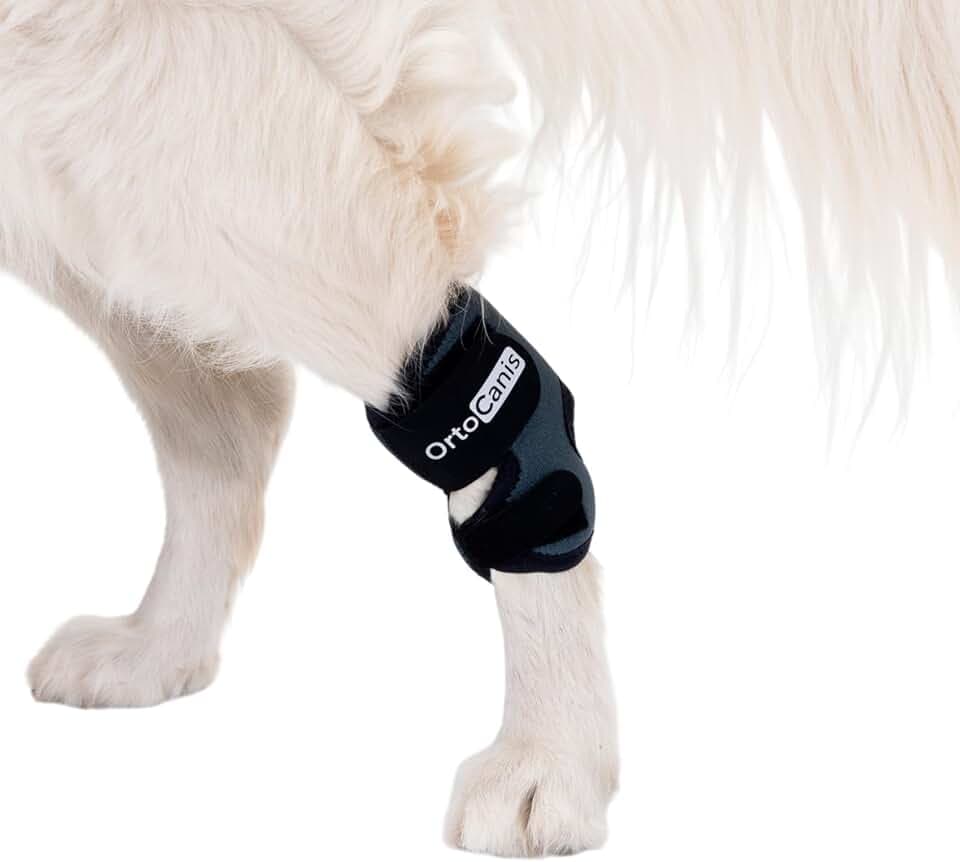 Ortocanis - Sprunggelenkbandage für Hunde - Unterstützung des Tarsus bei Arthrose, Bänderverletzungen und Sehnenentzündungen - Aus ARD-Neopren - Größe: S 12,5-14 cm - 10.5-12 cm